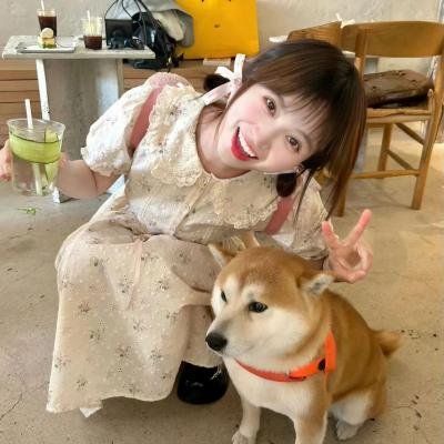 恋爱研究所